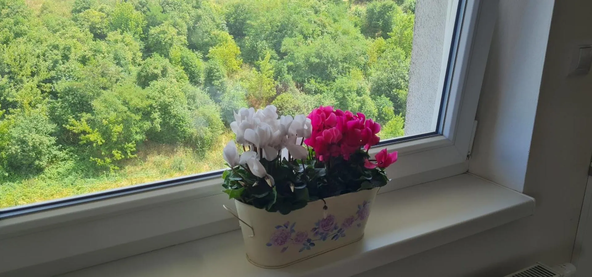 Lejlighed Prostorny 3 Pokojovy Apartman S Dvema Terasami Prag